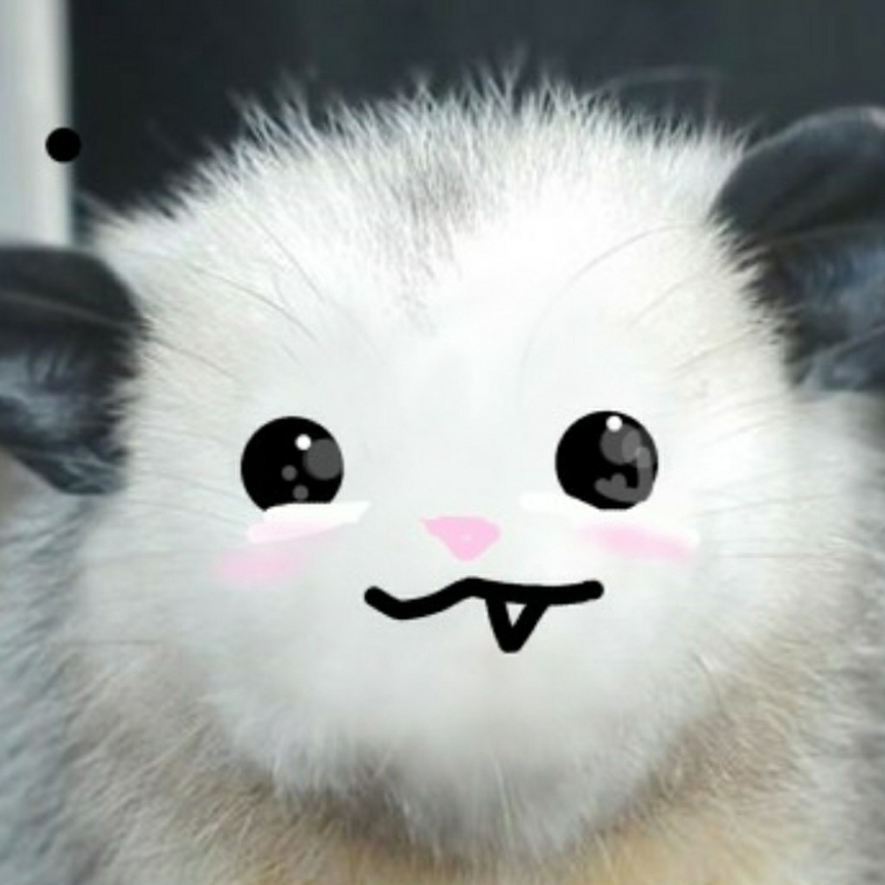 Meet your Posher, Molly